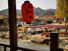 -老村长农家院