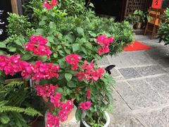 -山色西餐·柴火烤披萨
