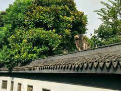 -上海青龙寺
