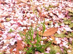 -白塘生态植物园