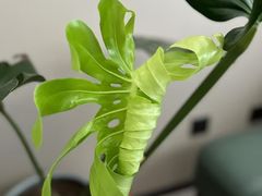 -沈阳铁西万象汇