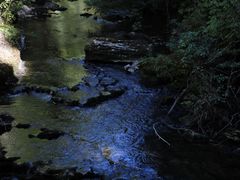 -怀托摩萤火虫洞