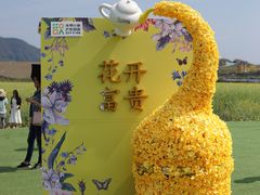 -光明小镇欢乐田园