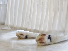 -路易时光(蕴川路店)