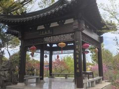 -南汇桃花村