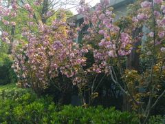 -蜀冈西峰生态公园