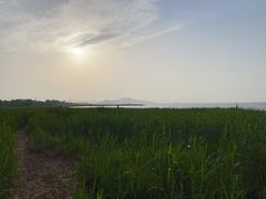 -苏州太湖国家湿地公园