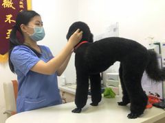 -创凡宠物医院·骨专科  猫科中心(西乡分院)