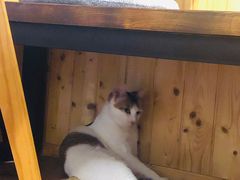 -251#coffee roasters(沿河东路店)