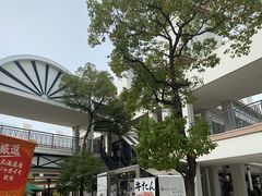 -三井奥特莱斯购物城(爵士之梦长岛店)