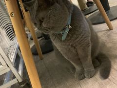 -小时光咖啡馆(北锣鼓巷店)