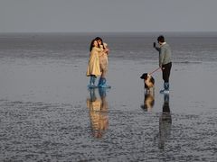 -南汇嘴观海公园