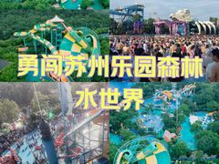 -苏州乐园森林水世界