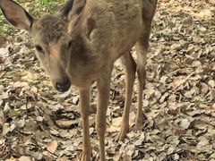 -上海交通大学(闵行校区)