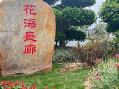 -芒洲湿地公园