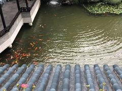 -苏苑饭店-中餐厅(长桥地区店)