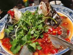 -湘潭九龙鱼头店(城南西路店)