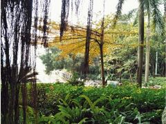 景点-南宁南湖公园