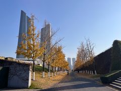 -南京眼步行桥