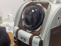 -天使宠物医院·犬猫分诊(彩虹店)