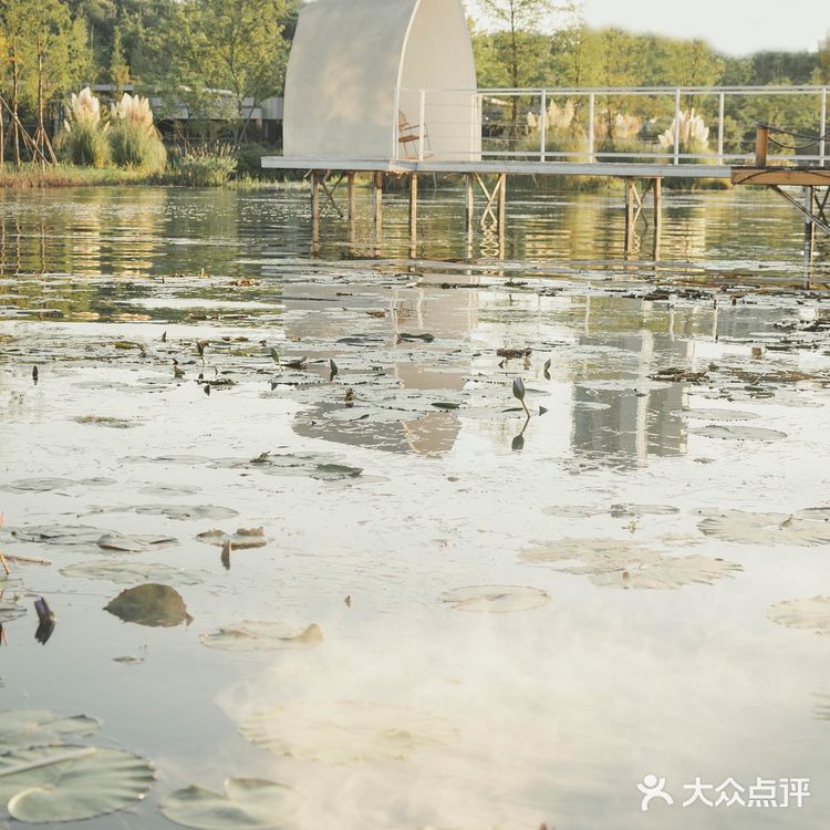 成都的夏日祭、藏在麓湖的渔获节