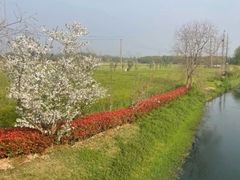 -嘉北郊野公园