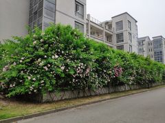 -江南大学(蠡湖校区)
