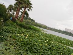 -洛龙公园
