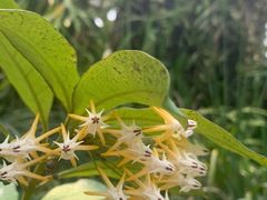 -华南国家植物园-售票处