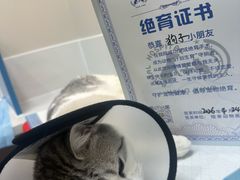 -恒幸动物医院·急重症转诊中心·神经内外科·CT核磁