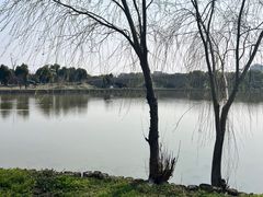 -广富林郊野公园