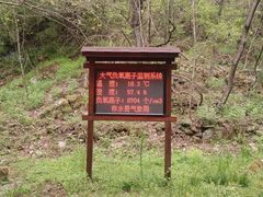 -牛背梁国家森林公园