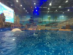 -华夏文旅海洋公园