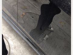 -一杯潮茶·专注潮汕茶饮(十二中创始店)