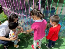 -萌宠亲子动物乐园(槐房万达店)