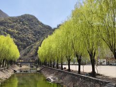 -龙峪湾国家森林公园