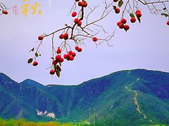 -北京上方山国家森林公园