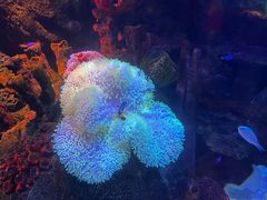 -沈阳海洋探索中心