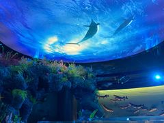 -陕西自然博物馆