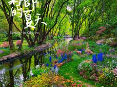 -上海共青森林公园