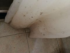 iphone_upload_pic-厦门市思明区第柒天旅馆
