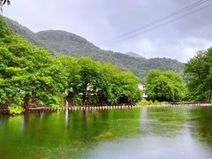 -鹿亭中村