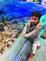 -酷嗒动物文化乐园(cutezoo西溪乐天城店)