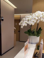 -Yestar杭州艺星医疗美容医院