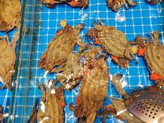 -赶海儿海鲜镖局·平价海鲜小馆(金沙滩店)