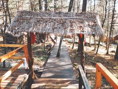 -五营红松林海景区