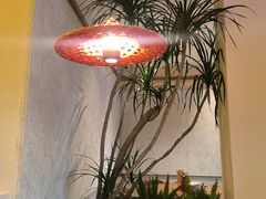 -屋里饭菜·湘菜馆(火车站店)