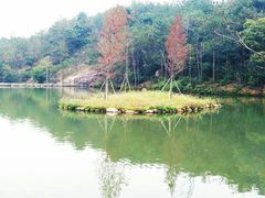 -清境桃源