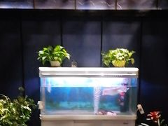 -梵SPA·影院足道·采耳(西藏北路店)