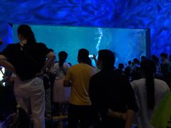 -常州海昌海洋探索馆